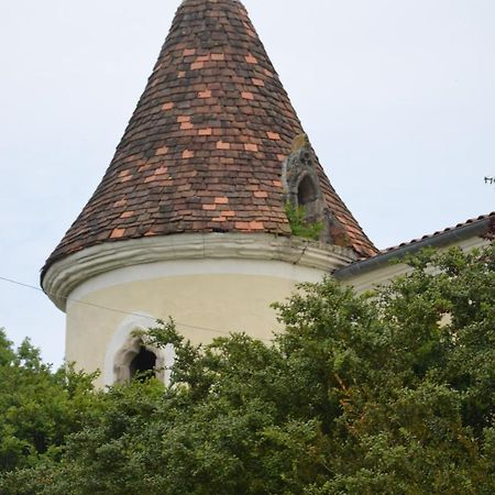 Chambres D'Hotes Du Chateau De Saint Sulpice La Sauvetat-sur-Lède Exterior photo